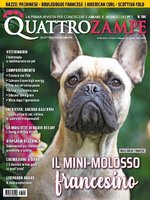 Cover image for Quattro Zampe: N. 171 Febbraio 2022